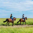 Enoturismo com passeio a cavalo: visita a adega e almoço