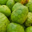 Fruta tropical 11