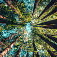 DÍA MUNDIAL DEL MEDIO AMBIENTE 9
