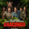 Anaconda