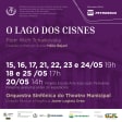 Balé O Lago dos Cisnes