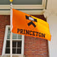 Courses from Ivy League Colleges