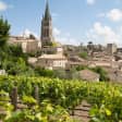 Tour de France: Wine Tasting with Charcuterie