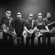 The Aggrolites