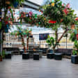 Rapturous Cocktails & Pizza Roof Terrace Party