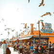 New York Social Network's Boardwalk Walks