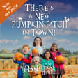 Pumpkin Patch At Hobbledown West London