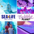 Happiness Bundle: SEA LIFE and Bubble Planet