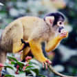 London Zoo