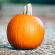 Prepárate para Halloween 1