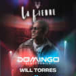 𝑾𝑰𝑳𝑳 Torres - Domingo Electrónico