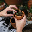 Plant & Sip with Complimentary Wine