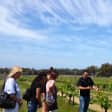 2D1N Margaret River Wine Lovers' Getaway