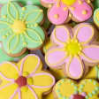 Spring Cookie Decorating – San Diego