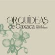 Orchids of Oaxaca | Expo-venta