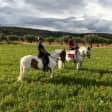 Paseo a caballo con almuerzo y alojamiento para 2 personas