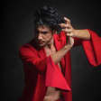 We call it Flamenco by the Royal Theater of Madrid - Waitlist