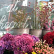 Fashionista Tour: Bohemian Notting Hill