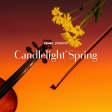 Candlelight Spring: 歴代名作ドラマを飾る主題歌集