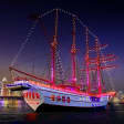 Royal Albatross City Lights Dinner Cruise