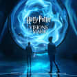 Harry Potter : Visions de la magie - soirée VIP exclusive