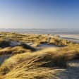 Excursion : Le Touquet Plage et la Baie de Canche