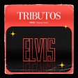 Tributos: O Melhor de Elvis Presley no Monsantos Open Air