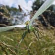 Sensory Odyssey Experience : Une immersion en pleine nature - Liste d'attente