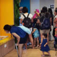 The Singapore Ants Exhibition
