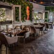 Singles Meet Dinner at Polanquito Restaurant