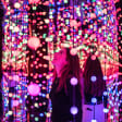 Dopamine Land: 他感覚体験 - ウェイトリスト