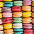 French Macarons in Tampa