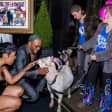 Magic Goat Dance Party