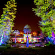 Entradas para Naturaleza Encendida en el Jardín Botánico