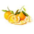 Frutos de otoño 10