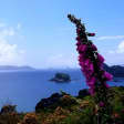 Coromandel Explorer: visit the beaches of the Coromandel peninsula
