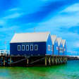 Augusta Whale Watch Full Day Tour with Lunch from Perth