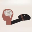La Science des rêves