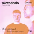 Microdosis: Pølaroit (live) en Café Berlín