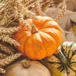 Prepárate para Halloween 3