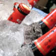 Estrella Damm: Visita guiada a la fábrica de cerveza El Prat