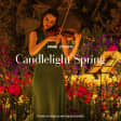 Candlelight: Best of Bridgerton on Strings