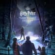 Harry Potter: A Forbidden Forest Experience en Westchester