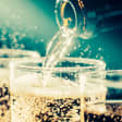 Bring on the Bubbles: Wine Tasting with Charcuterie