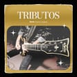 Tributos: lo mejor de U2 al aire libre