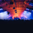 The Peacock Society Festival 2019 - Forfait 2 Jours