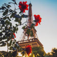 Balade Rive Gauche : Les Amours de Paris Rive Gauche