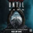 Until Dawn