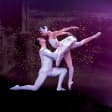 Le Lac des Cygnes par le St Petersburg Festival Ballet Orchestra