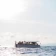 Marseille : Croisière au coucher du soleil avec dîner et boissons